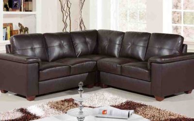 Beranda 17 3 Langkah Membasmi Jamur dan Lumut pada Sofa Kulit