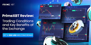 Comprehensive Guide to Withdrawals on PrimeXBT Comprehensive Guide to Withdrawals on PrimeXBT